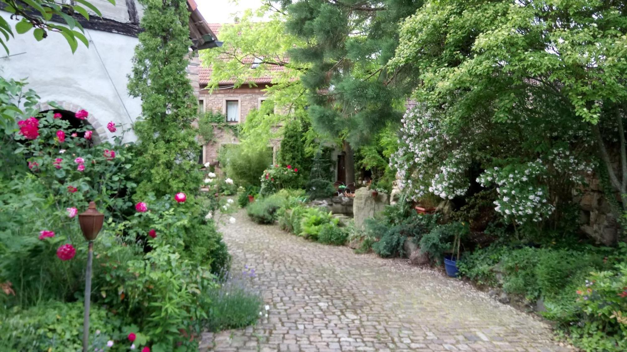 "El Patio" Am Donnersberg Apartment Dannenfels Luaran gambar