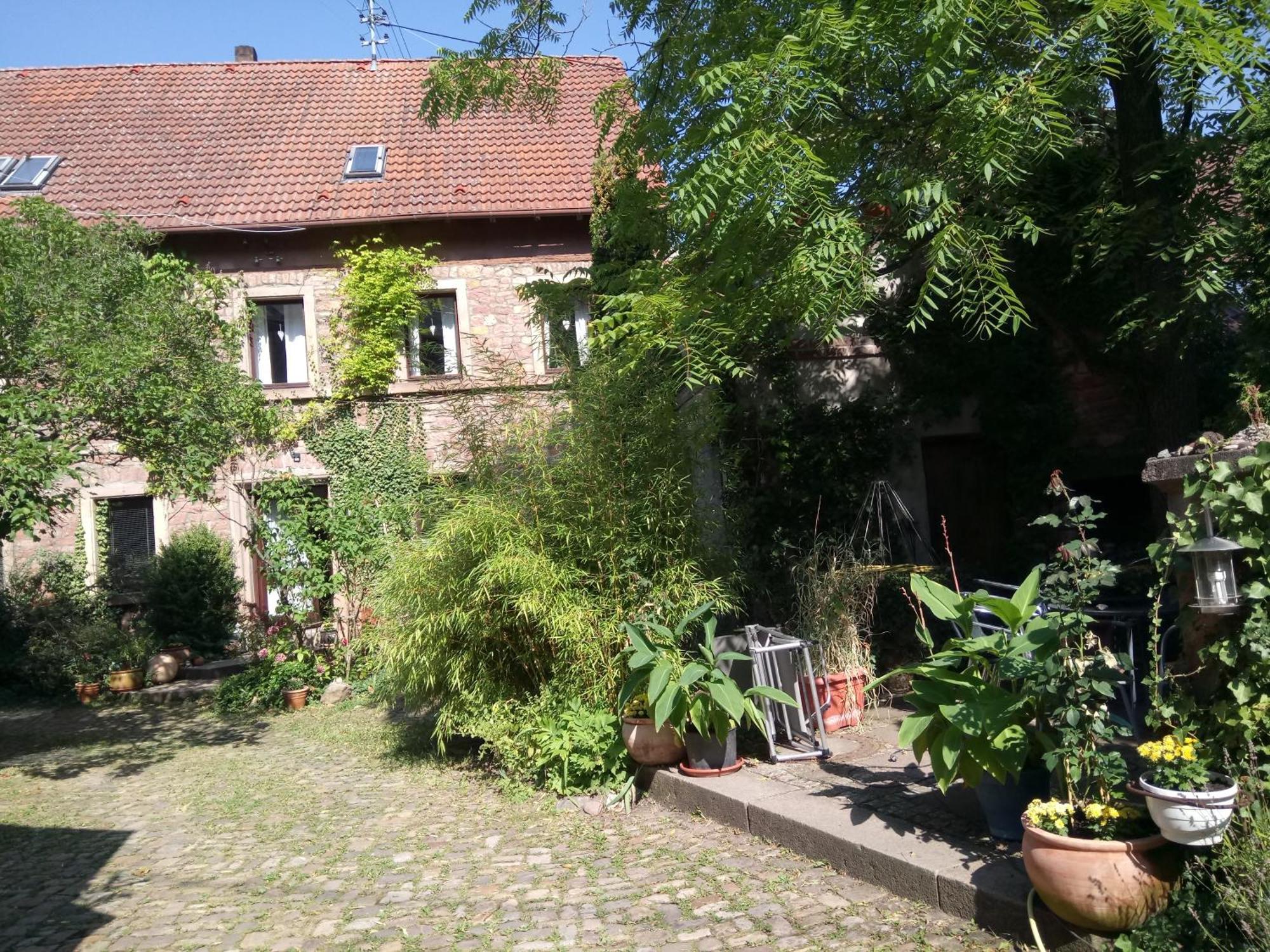 "El Patio" Am Donnersberg Apartment Dannenfels Luaran gambar