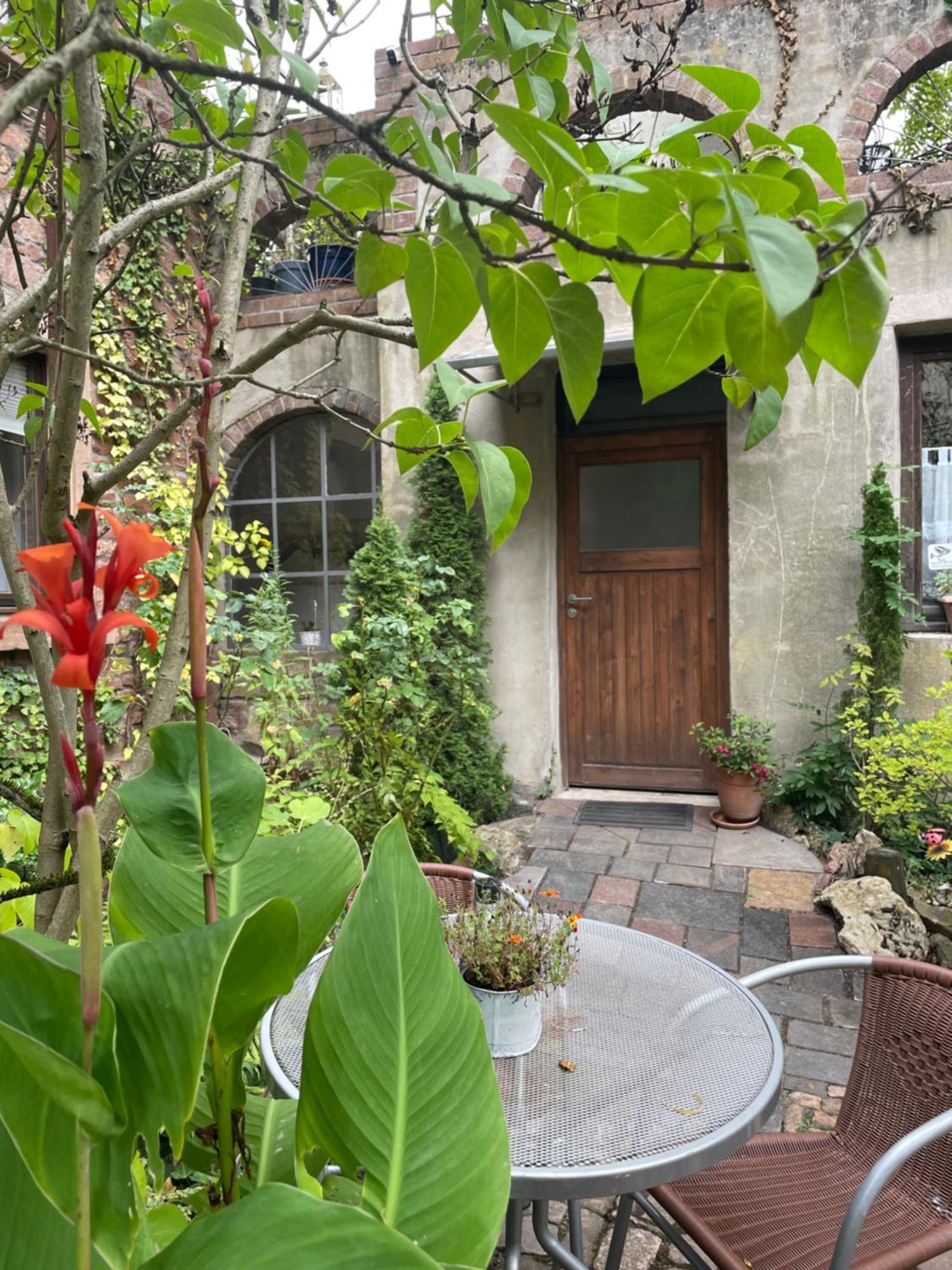 "El Patio" Am Donnersberg Apartment Dannenfels Luaran gambar